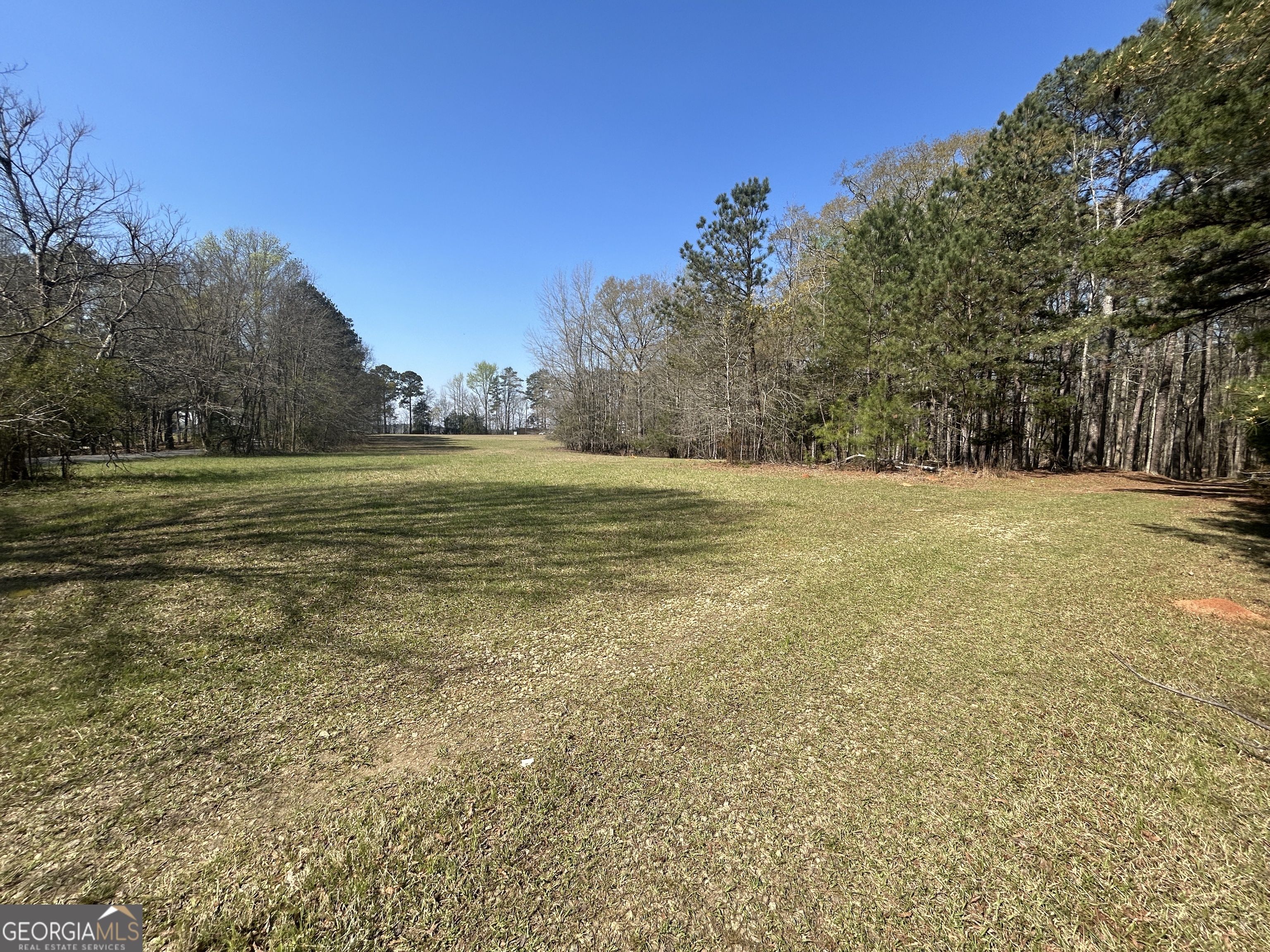 1251 Adams Road Union Point, GA 30669 - Photo 6 of 17