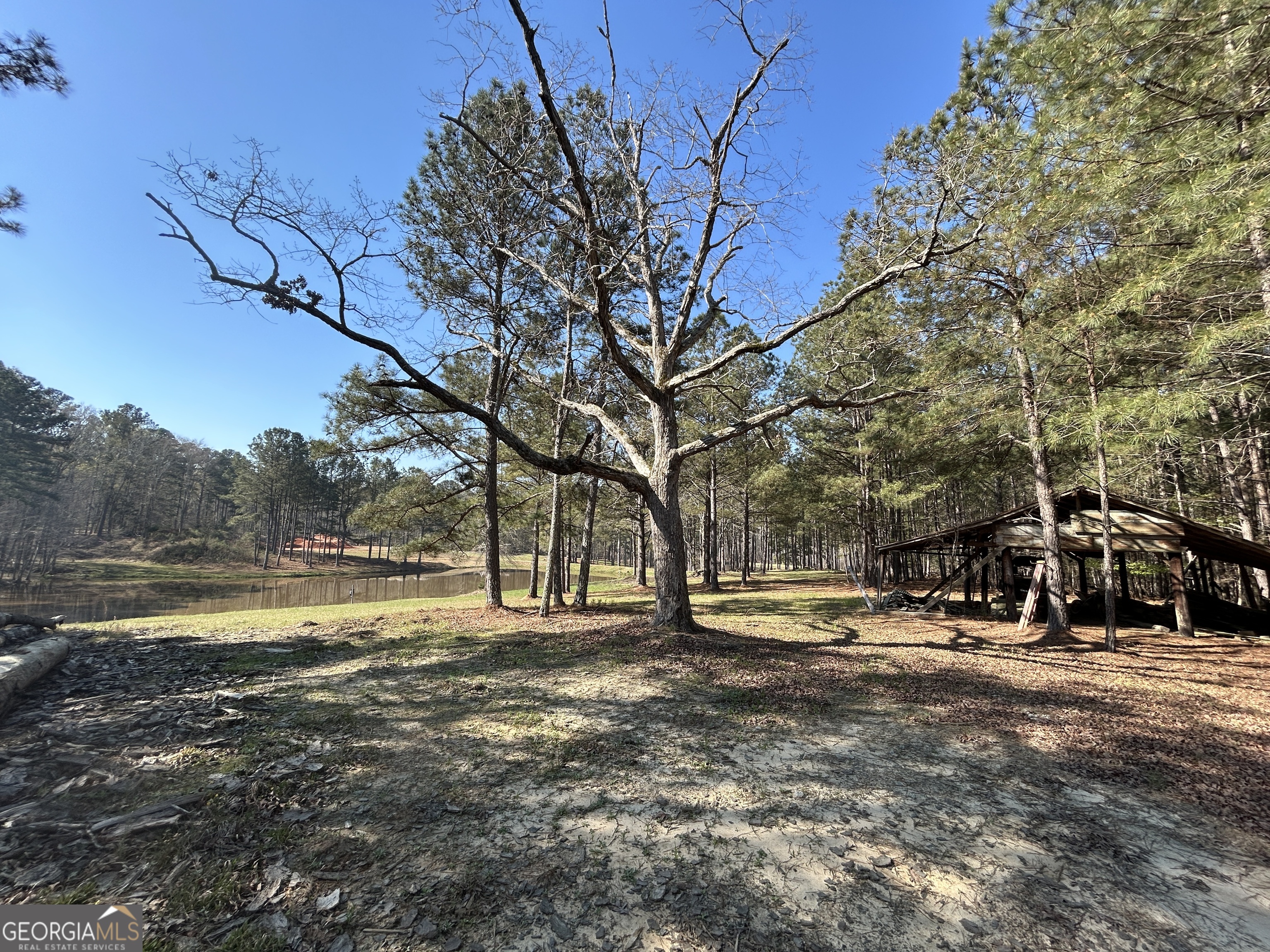 1251 Adams Road Union Point, GA 30669 - Photo 8 of 17