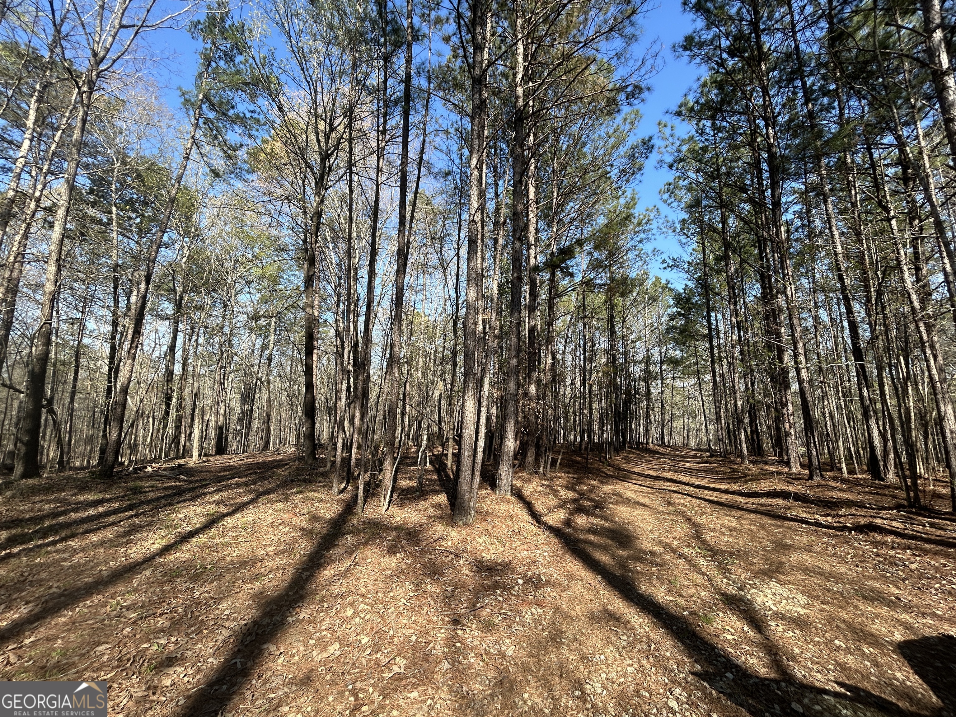 1251 Adams Road Union Point, GA 30669 - Photo 9 of 17