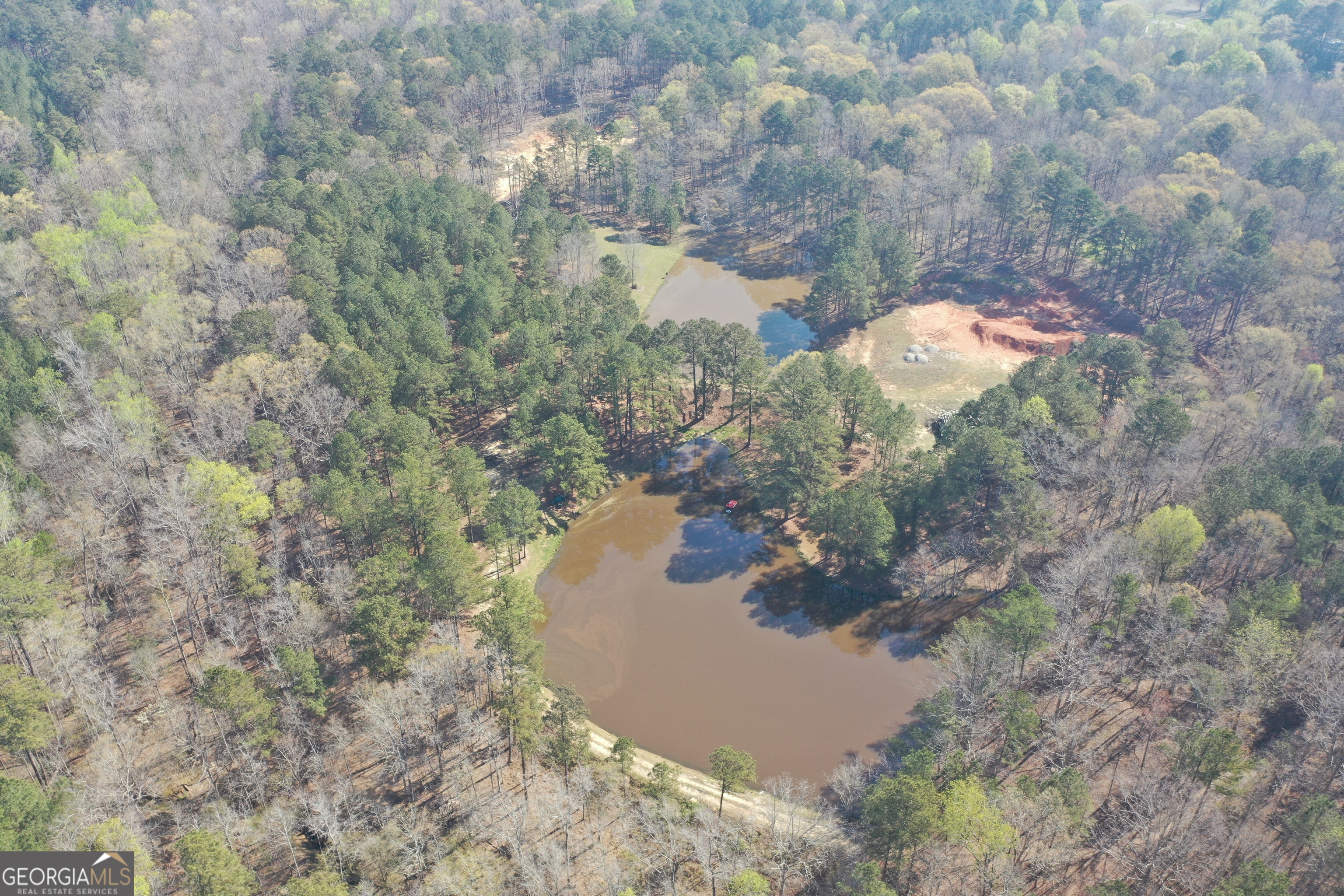 1251 Adams Road Union Point, GA 30669 - Photo 10 of 17