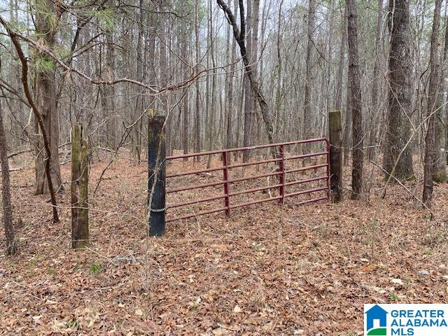 0 Forest Service Road Talladega, AL 35160 - Photo 2 of 3