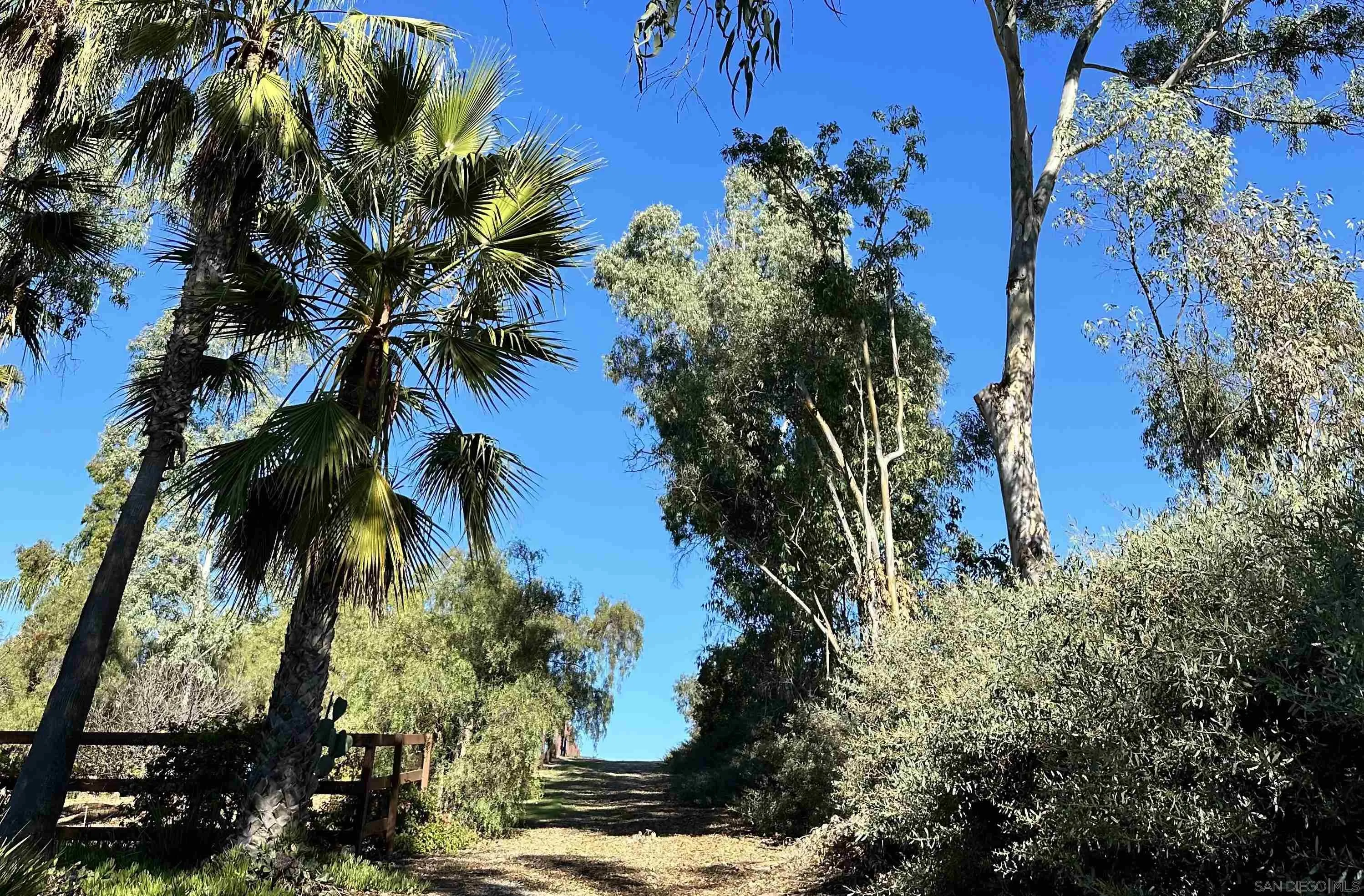 18096 Loma Alegre, Unit 15033 Rancho Santa Fe, CA 92067 - Photo 3 of 12 a view of backyard of a house