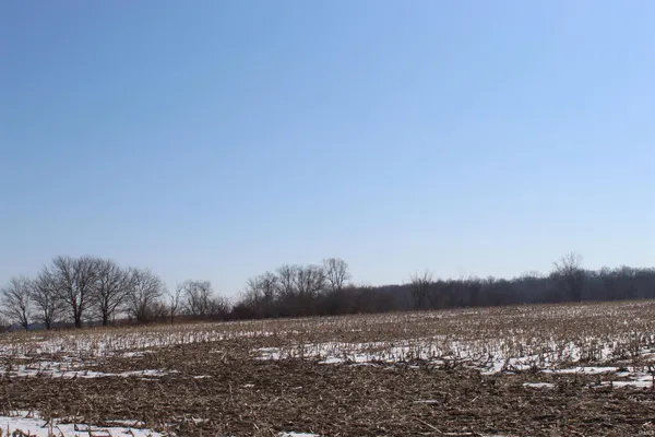 $749,900 | Tbd Family Dollar Parkway, Ashley, IN 46705