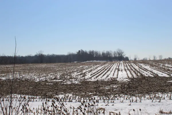 $749,900 | Tbd Family Dollar Parkway, Ashley, IN 46705