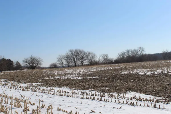 $749,900 | Tbd Family Dollar Parkway, Ashley, IN 46705