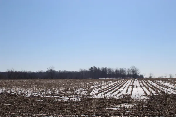 $749,900 | Tbd Family Dollar Parkway, Ashley, IN 46705