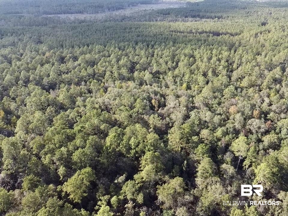 0 Country Road Vinegar Bend, AL 36584 - Photo 38 of 46