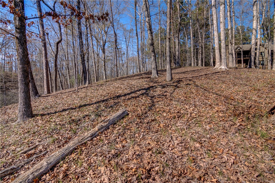 114 Creekshore Drive Salem, SC 29676 - Photo 11 of 35