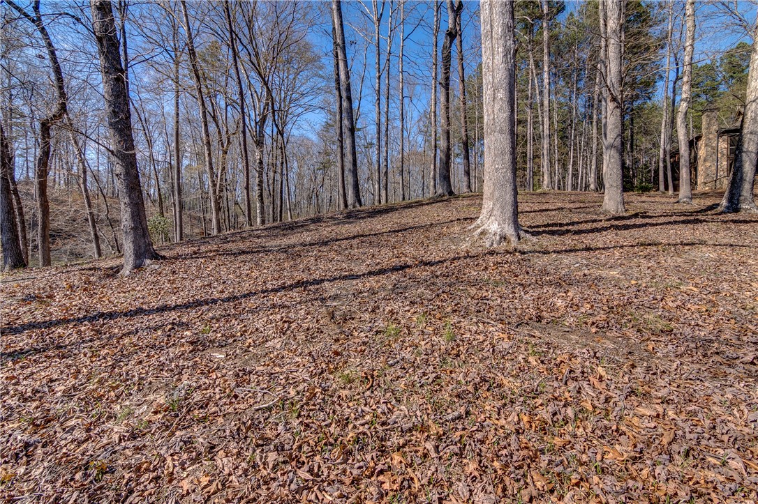 114 Creekshore Drive Salem, SC 29676 - Photo 12 of 35