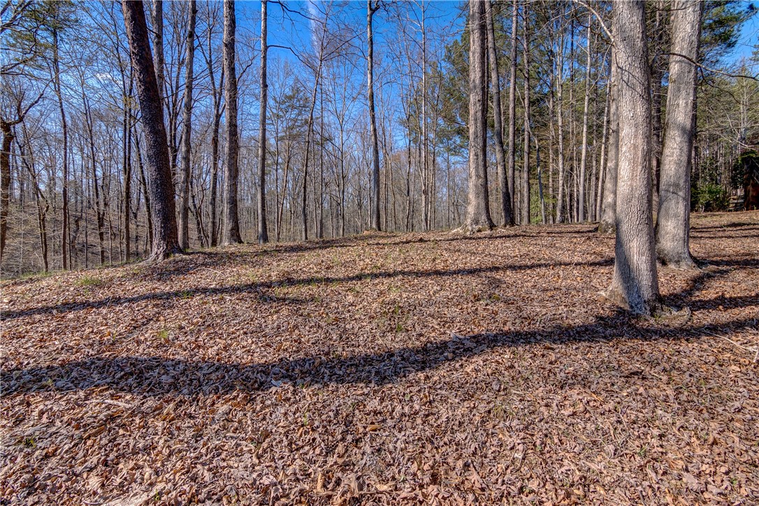 114 Creekshore Drive Salem, SC 29676 - Photo 13 of 35