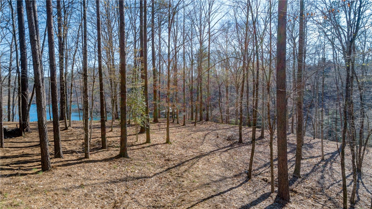 114 Creekshore Drive Salem, SC 29676 - Photo 14 of 35