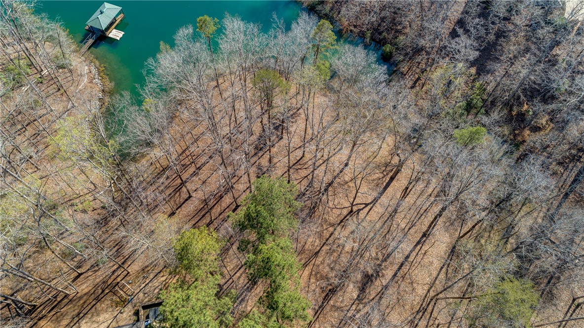 114 Creekshore Drive Salem, SC 29676 - Photo 16 of 35