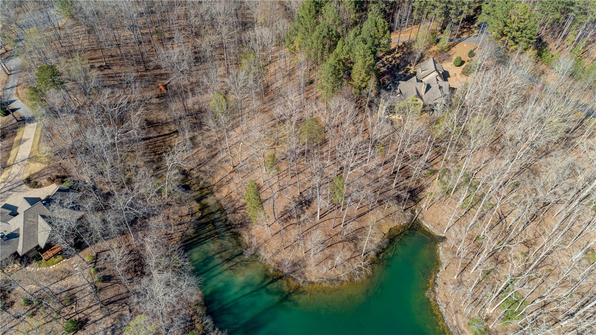 114 Creekshore Drive Salem, SC 29676 - Photo 20 of 35