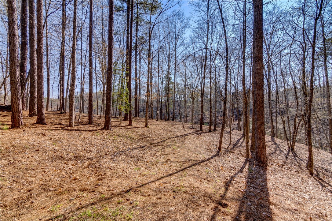 114 Creekshore Drive Salem, SC 29676 - Photo 2 of 35