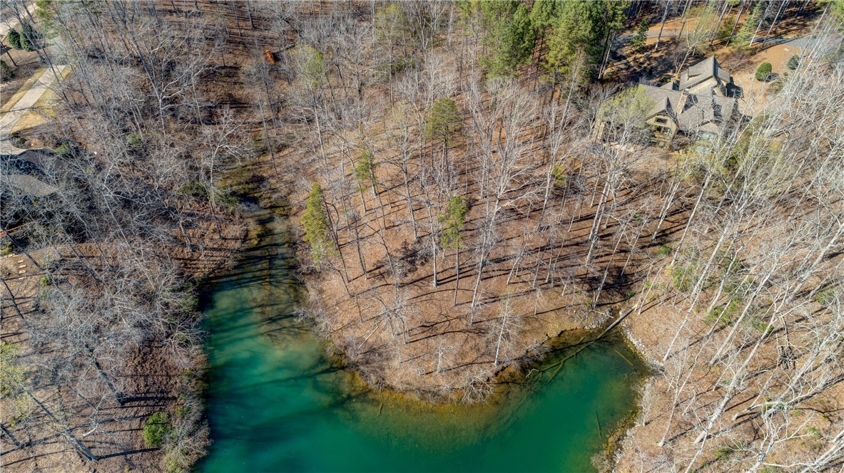 114 Creekshore Drive Salem, SC 29676 - Photo 22 of 35