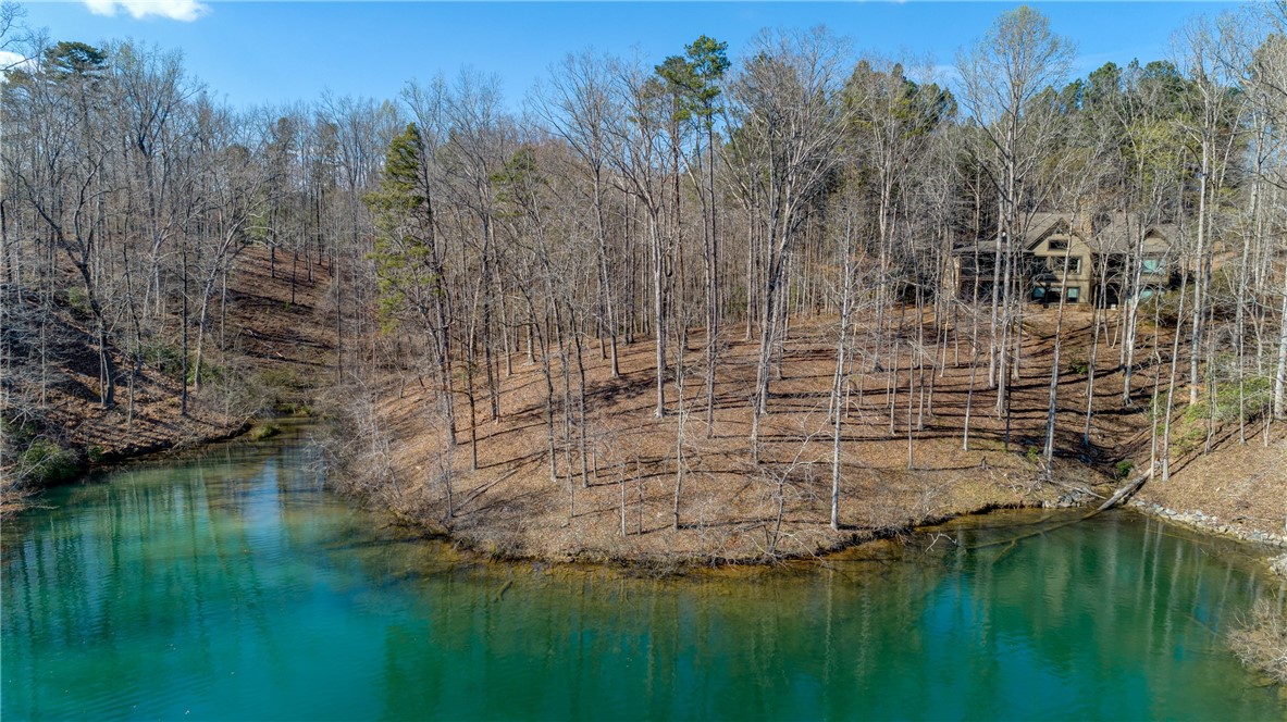 114 Creekshore Drive Salem, SC 29676 - Photo 25 of 35