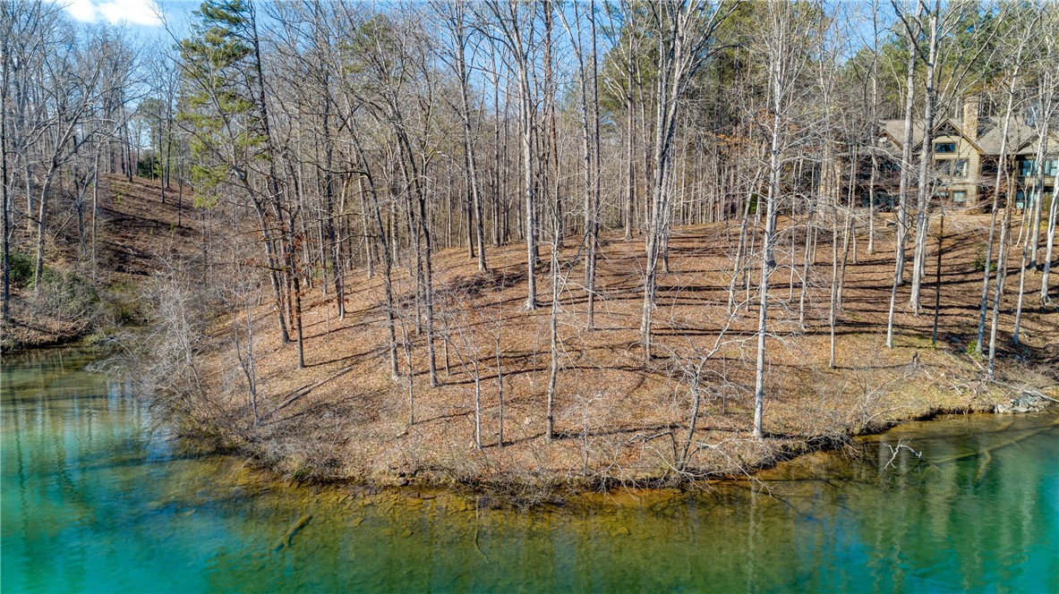 114 Creekshore Drive Salem, SC 29676 - Photo 26 of 35