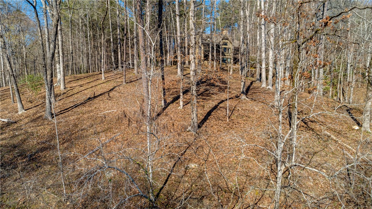 114 Creekshore Drive Salem, SC 29676 - Photo 27 of 35