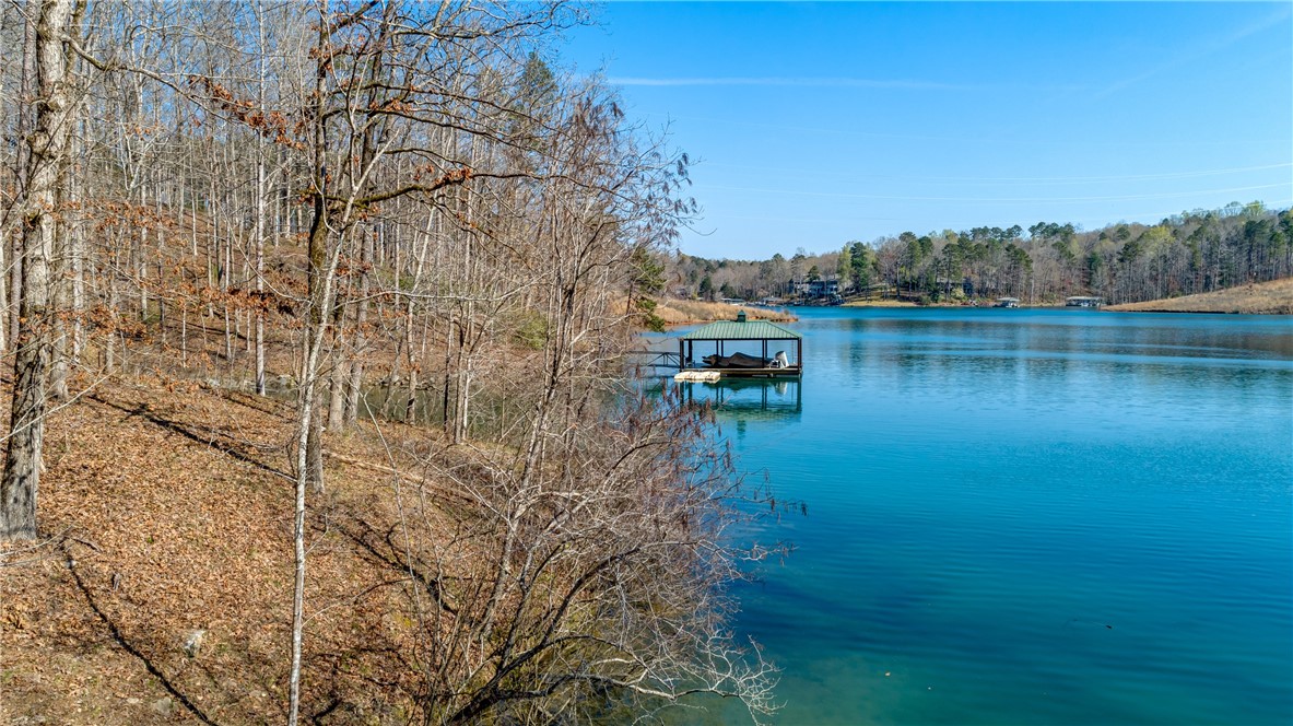 114 Creekshore Drive Salem, SC 29676 - Photo 28 of 35