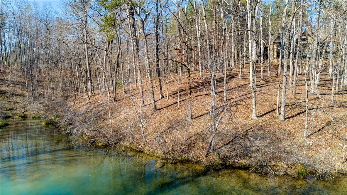 114 Creekshore Drive Salem, SC 29676 - Photo 29 of 35