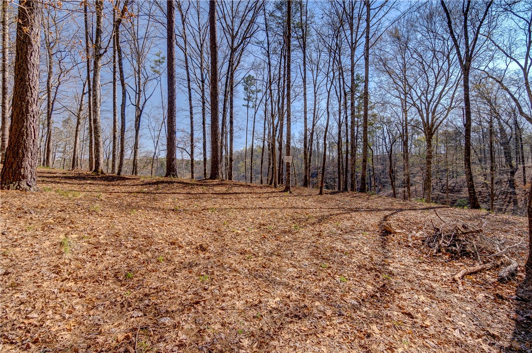 114 Creekshore Drive Salem, SC 29676 - Photo 3 of 35