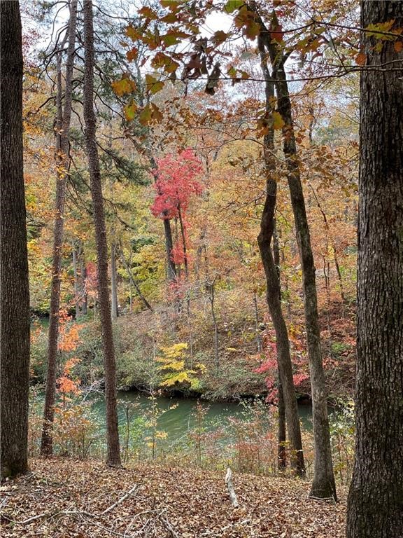 114 Creekshore Drive Salem, SC 29676 - Photo 33 of 35