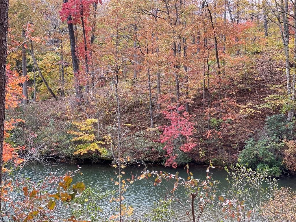 114 Creekshore Drive Salem, SC 29676 - Photo 34 of 35