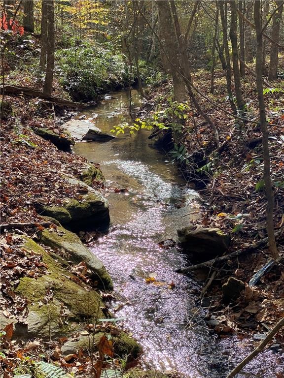 114 Creekshore Drive Salem, SC 29676 - Photo 35 of 35