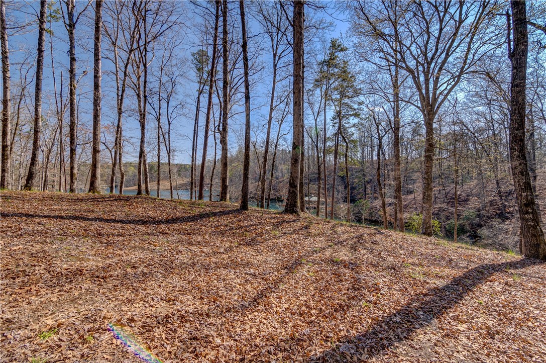 114 Creekshore Drive Salem, SC 29676 - Photo 4 of 35