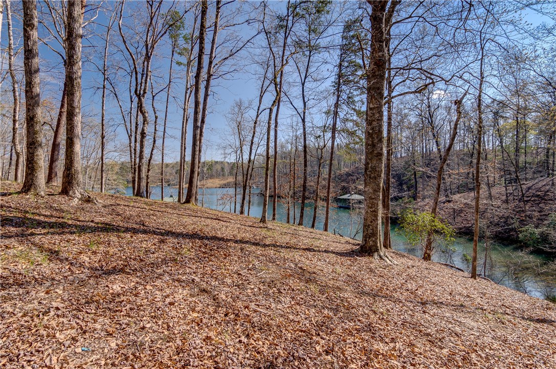 114 Creekshore Drive Salem, SC 29676 - Photo 5 of 35