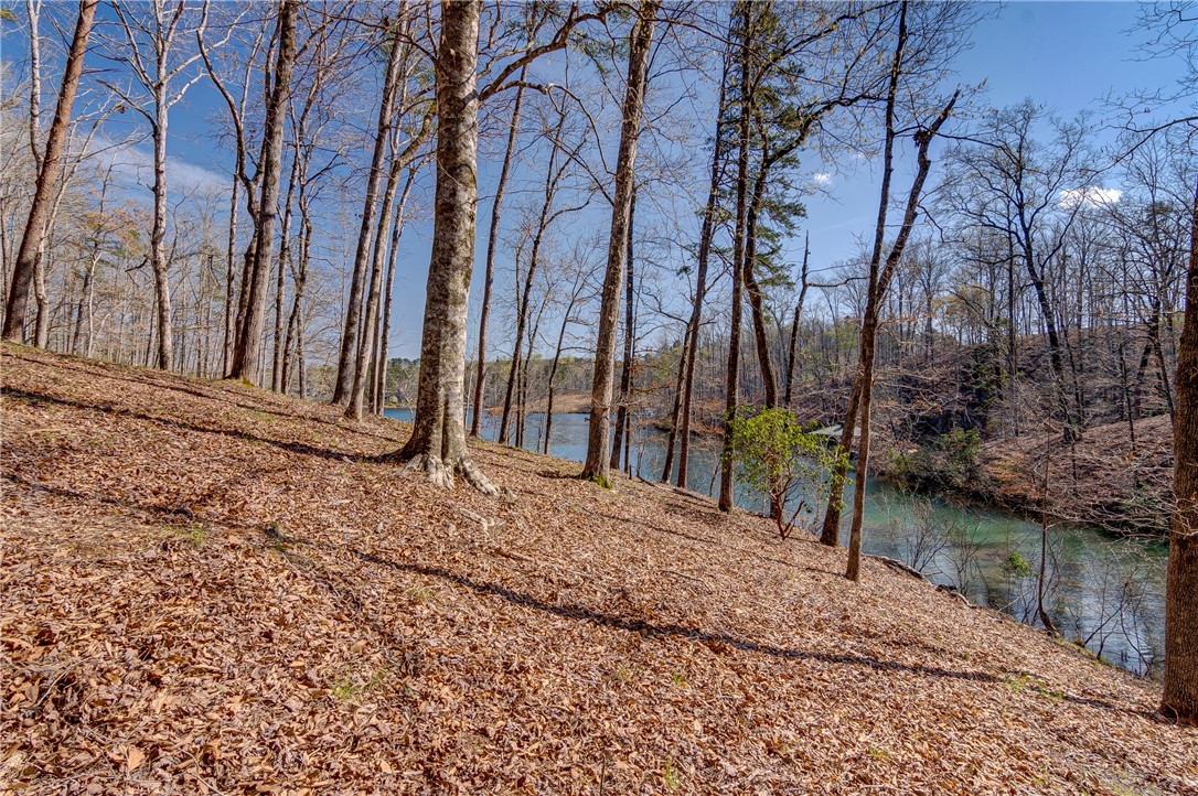 114 Creekshore Drive Salem, SC 29676 - Photo 6 of 35
