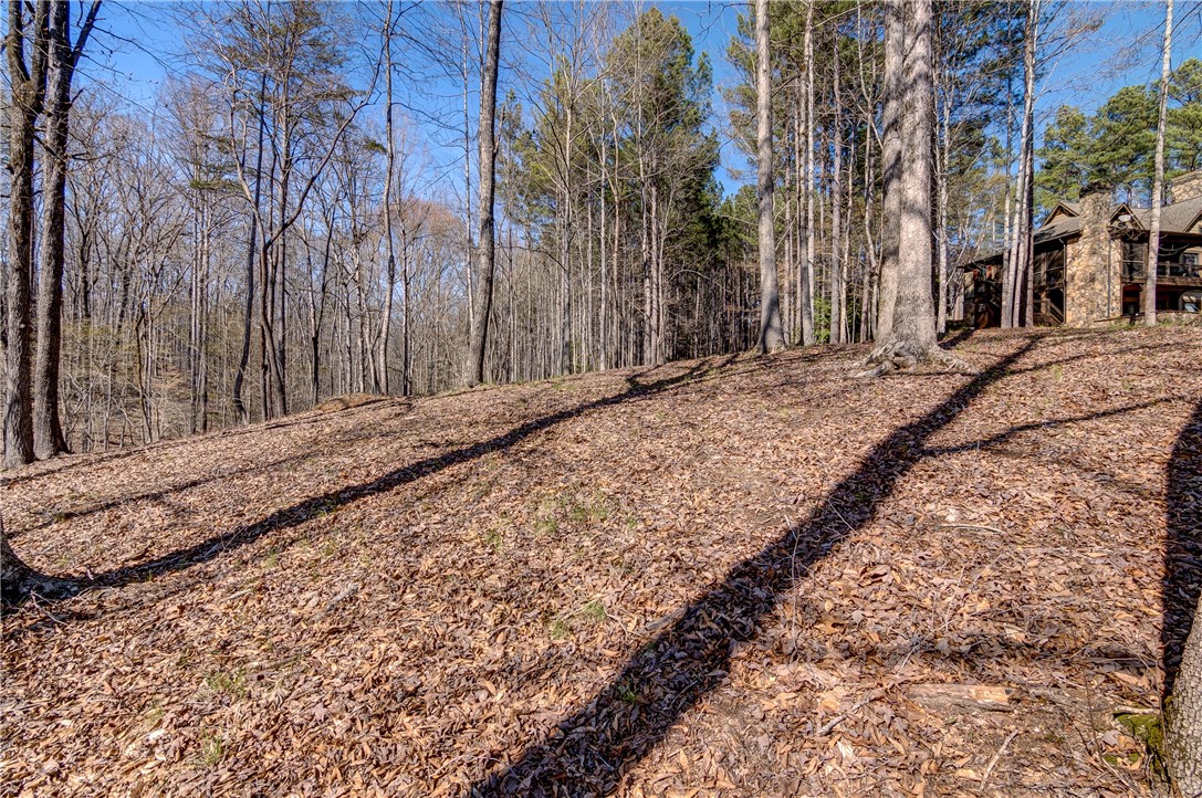 114 Creekshore Drive Salem, SC 29676 - Photo 8 of 35
