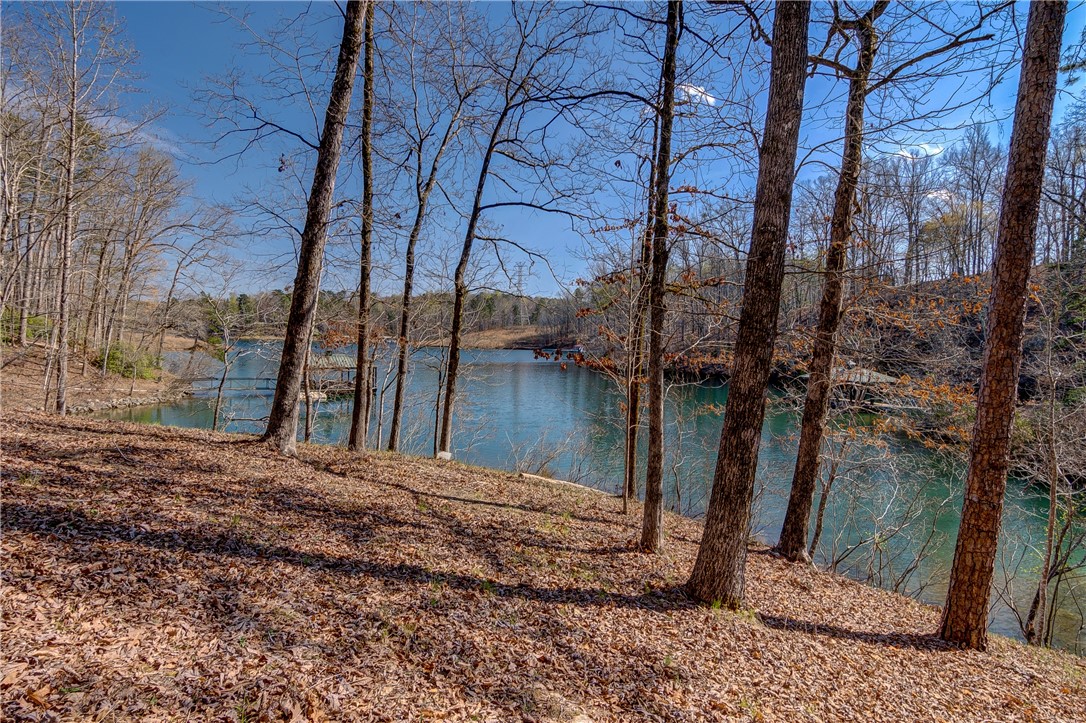 114 Creekshore Drive Salem, SC 29676 - Photo 9 of 35