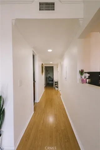 a view of a hallway with wooden floor and a potted plant