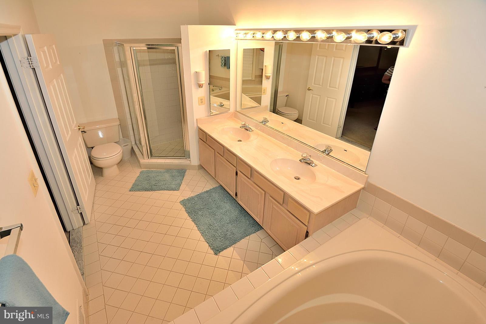 11298 Fairwind Way Reston, VA 20190 - Photo 17 of 30 Bath (Master)