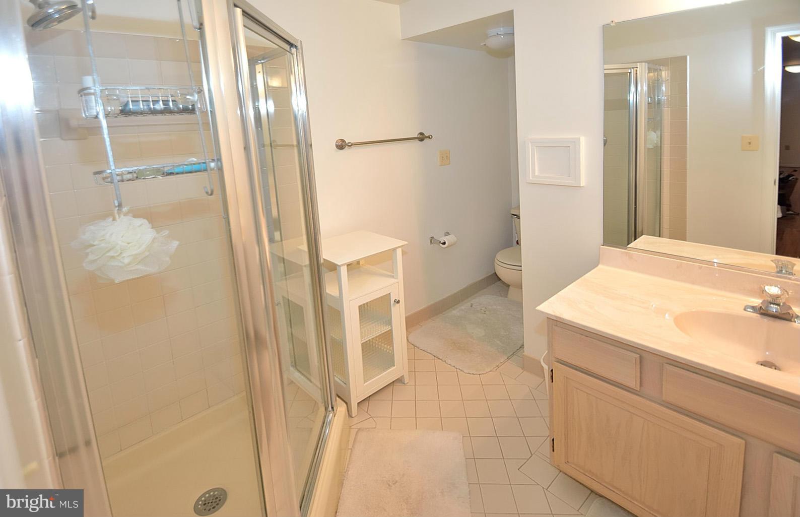 11298 Fairwind Way Reston, VA 20190 - Photo 25 of 30 Bath