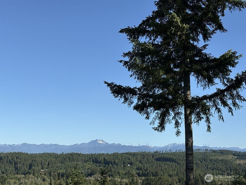 383 Romance Hill Road, Unit D Belfair, WA 98528 - Photo 36 of 39