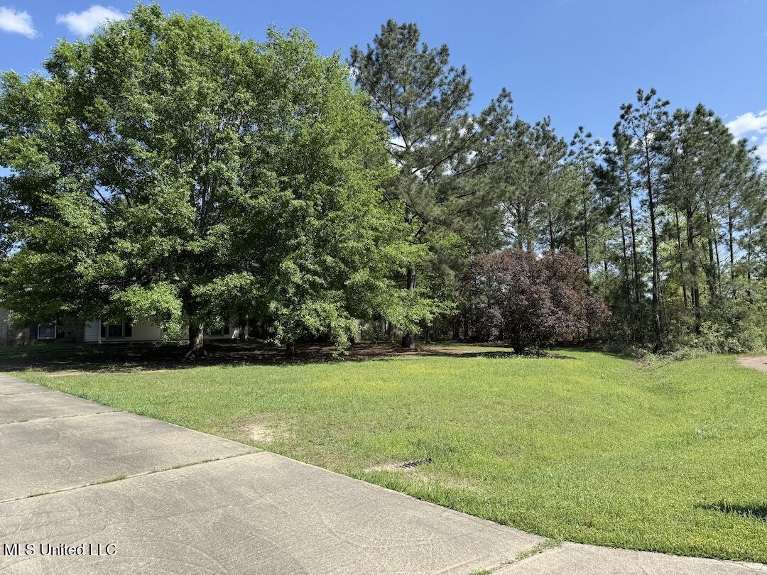 25 Brielle Lane Wiggins, MS 39577 - Photo 7 of 26 IMG_1492