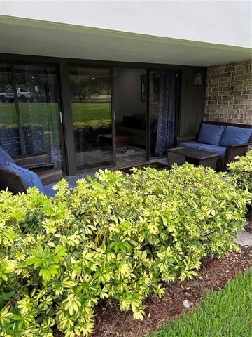 a view of backyard with potted plants