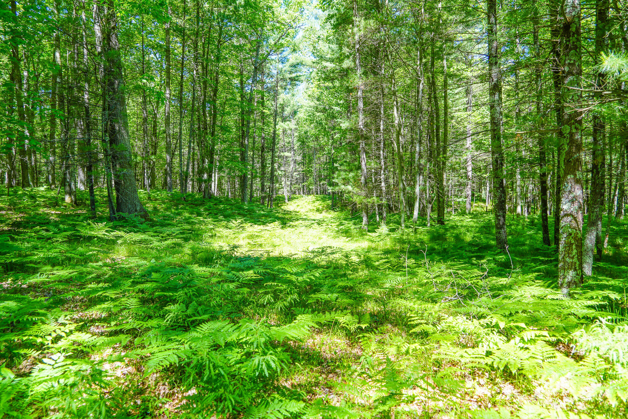 4993 Little River Road Manistee, MI 49660 - Photo 21 of 62 DSC00295