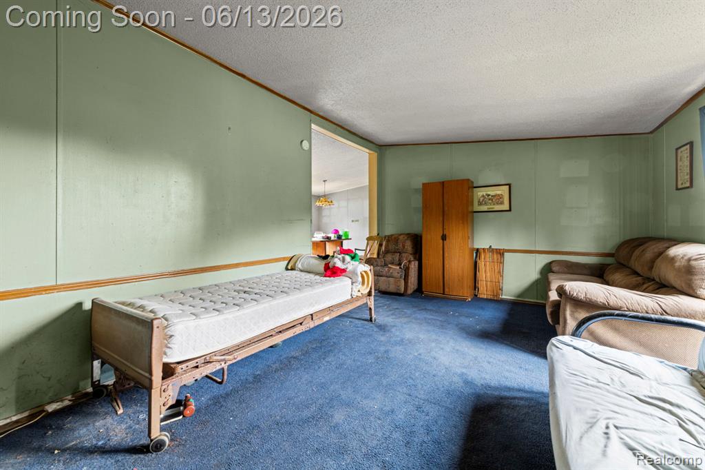 51105 Arkona Road Belleville, MI 48111 - Photo 16 of 32