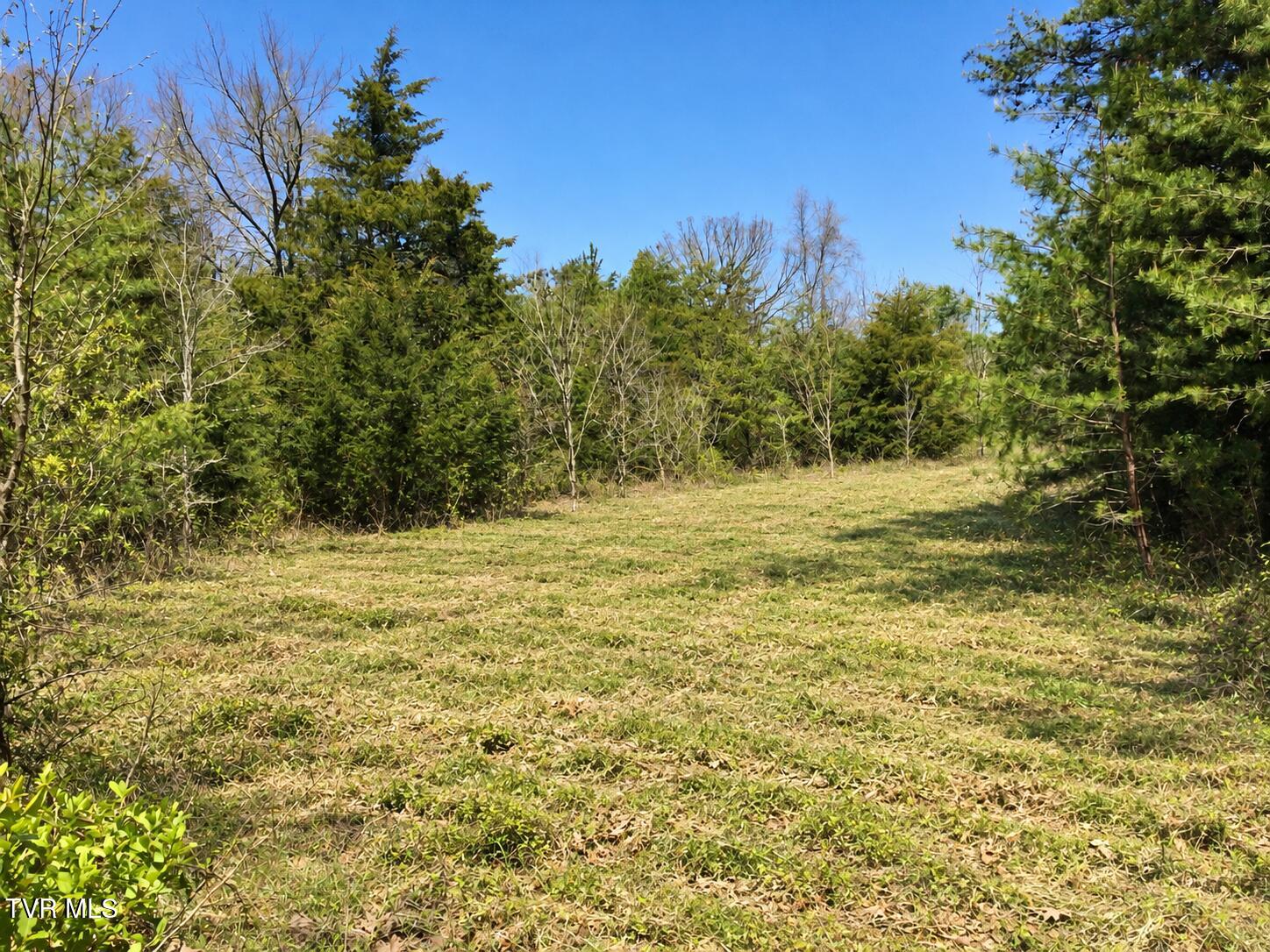 3050 Shackleford Road, Unit P/O Mosheim, TN 37818 - Photo 15 of 79 _Pic16 (1)
