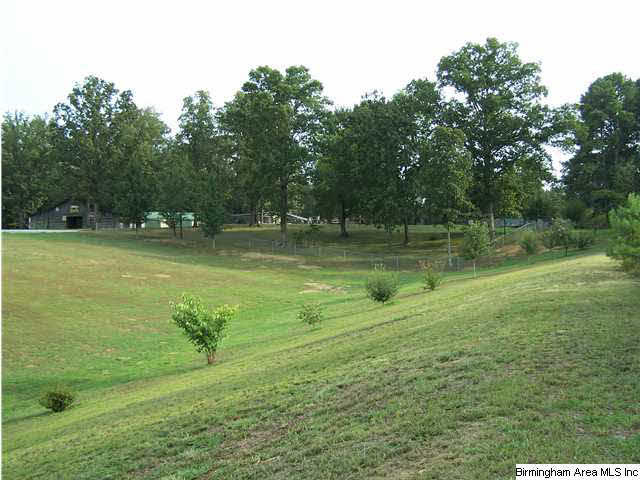 48588 Highway 231 Oneonta, AL 35121 - Photo 27 of 28