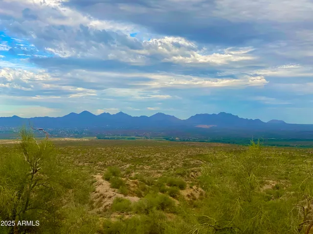 a vase of flowers sitting on a table
