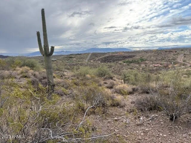 a view of an ocean from a yard
