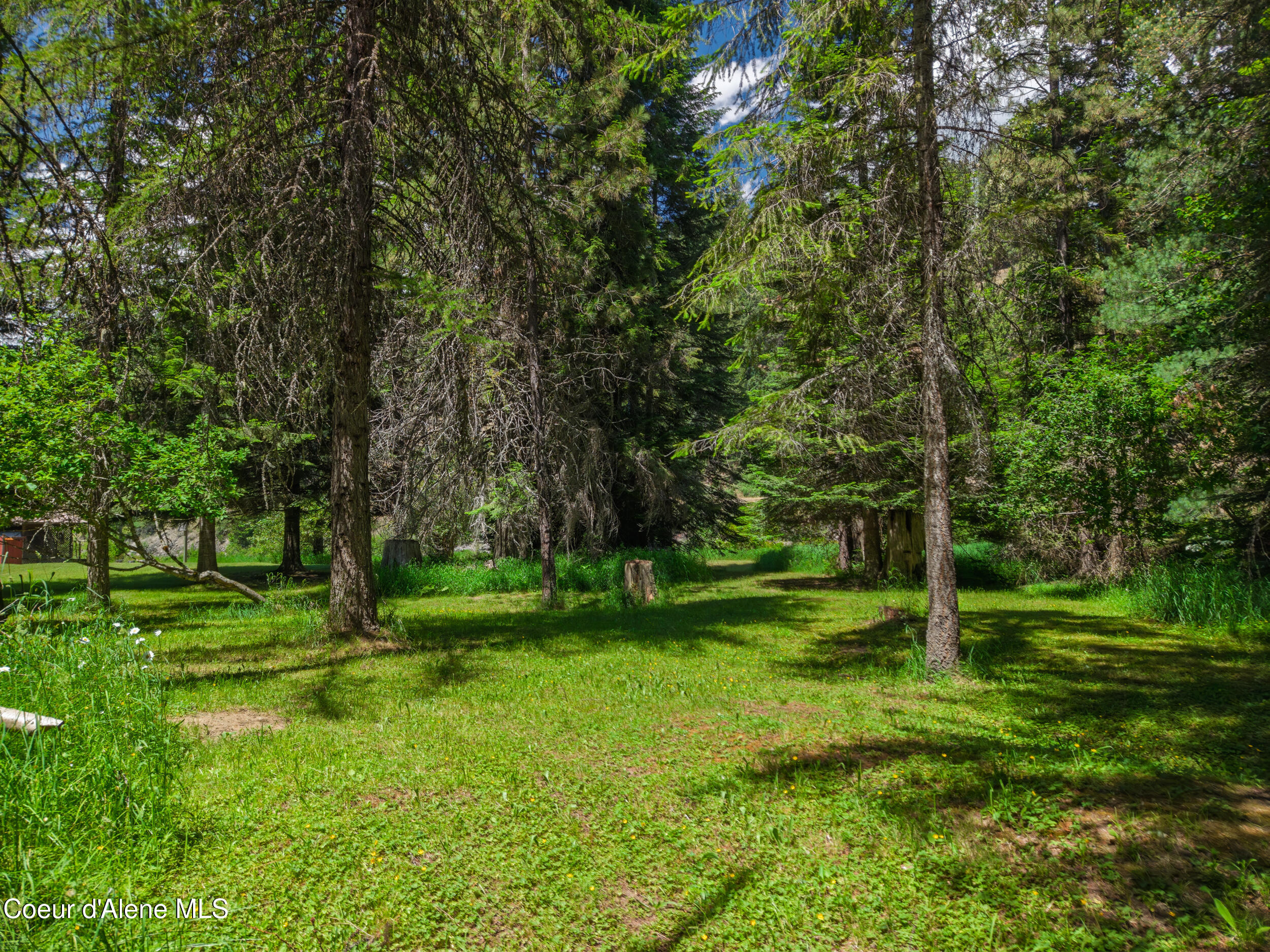 30839 St Joe River Road Calder, ID 83808 - Photo 31 of 33 Lawn