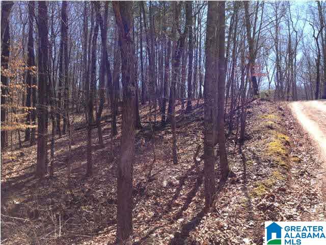 0 Woolfolk Road, Unit 3 ACRES Munford, AL 36268 - Photo 21 of 24