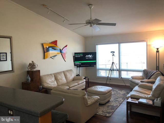 41 Pilot Point Lewes, DE 19958 - Photo 13 of 24 Room living area open to kitchen and dining