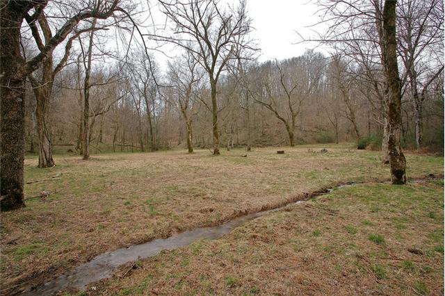0 Dry Creek Road Pulaski, TN 38478 - Photo 2 of 20 Two Everlasting Springs on Property