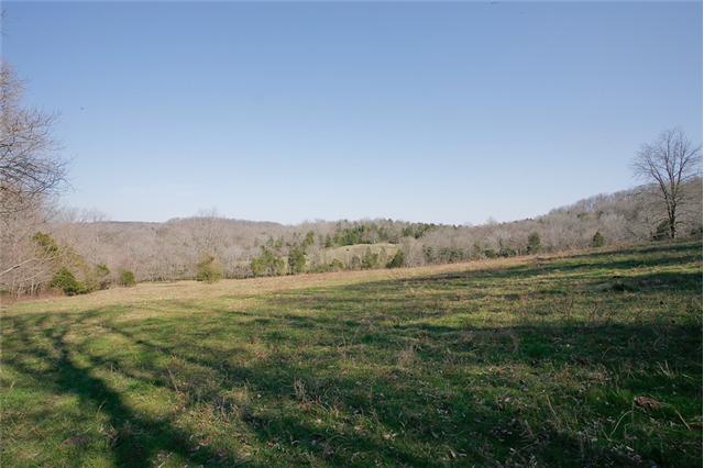 0 Dry Creek Road Pulaski, TN 38478 - Photo 14 of 20